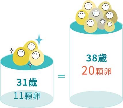 女性生育力在35岁后将急速下降，28-35岁是冻卵黄金年龄。数据显示，31岁只需冻存约11颗卵子，就有90%机率拥有宝宝；但延到38岁，可能需要20颗以上，冻卵疗程及费用随之增加
