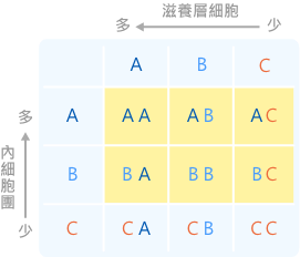 囊胚第一个英文字母代表将来会发育成宝宝的内细胞团，第二个则是形成胎盘的滋养层细胞，只要是BC以上等级都是好胚胎。但缺乏内细胞团的CC、CB、CA不建议植入与冷冻。