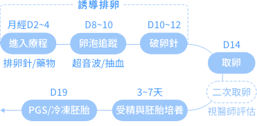 个人化精准试管流程是施打排卵针、取卵、受精培养、冷冻保存优质胚胎。卵子库存少者可同週期二次取卵，并结合PGS技术筛选染色体正常胚胎，大幅提升成功率。