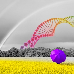 灰色的彩虹-镶嵌型染色体胚胎