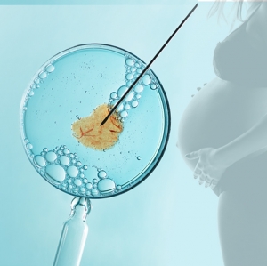 植入胚胎，要选第三天还是第五天?
