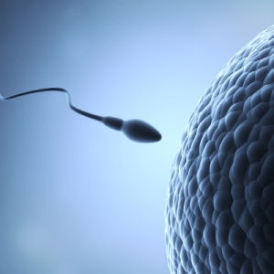 精子型态是精子功能的重要指针